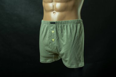 Mankenin üstünde erkek donu var. İzole bir arkaplanda.