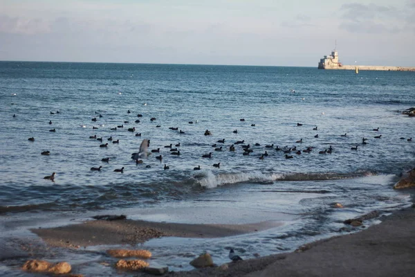 Kırım 'da Robber Bay ve Cape Kapchik üzerinde kış güneşi. Yeni Dünya 'nın tatil köyündeki Golitsyn Yolu' ndaki insanların siluetleri. Baharın başlarında bulutlu bir gün