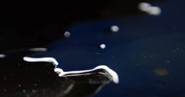 Sudaki dalgalar bir çember şeklinde dağılır, bir damla su.