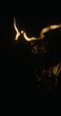 Siyah bir arka planda, parlak iplik tungsten lambaları