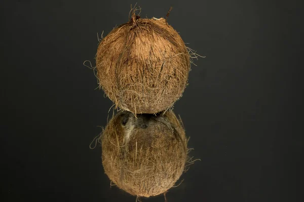 大的毛茸茸的椰子被隔离在有倒影的黑色镜面上 椰子加黑 — 图库照片