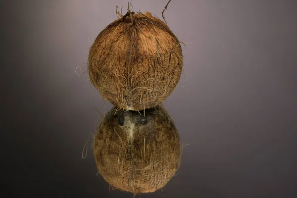 Grande Coco Desgrenhado Isolado Uma Superfície Espelho Cinza Com Reflexão — Fotografia de Stock