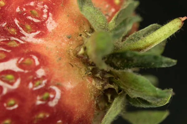 Çilekli Makro Shot Aynadaki Siyah Arkaplanda — Stok fotoğraf