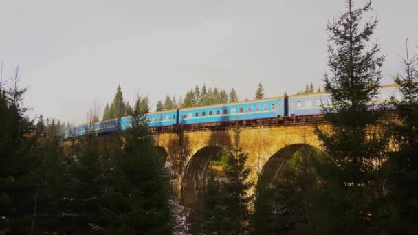 Tren Del Viaducto Fuma Montañas Cárpatos — Vídeo de stock