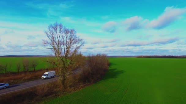 Zelená Pole Zemědělství Pěstování Pšenice Pěstování Letecké Fotografie Drone — Stock video