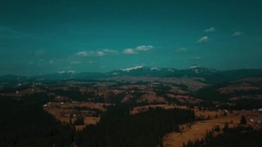 Karpat Dağları, Dağlık Orman Vadisi, Aro 4K video