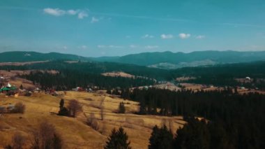 Karpat dağlarında çam ormanı, Aero 4K 'yı vuruyor..