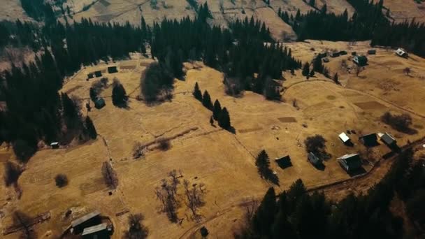 Alp Yerleşkesi Karpaty Köyü Sakinleri Dağ Havacılık Fotoğraf Videosunun Tepesinde — Stok video