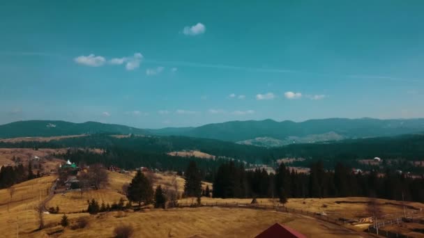 Carpates Montagnes Hautes Terres Forêt Vallée Aro Vidéo — Video