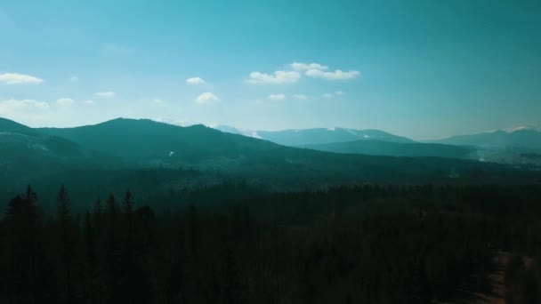 Cárpatos Montañas Tierras Altas Bosque Valle Aro Video — Vídeo de stock