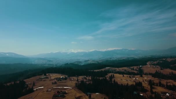 Cárpatos Montañas Tierras Altas Bosque Valle Aro Video — Vídeo de stock
