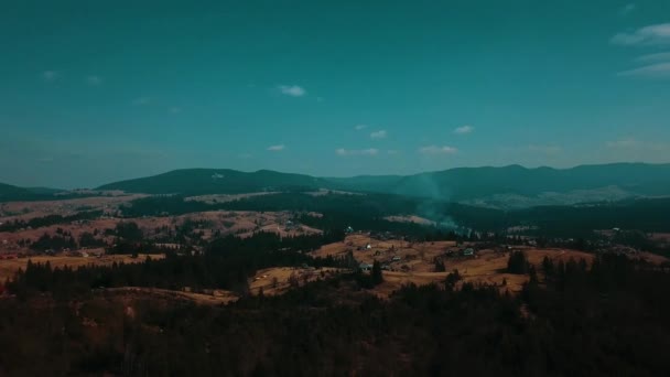 Carpates Montagnes Hautes Terres Forêt Vallée Aro Vidéo — Video