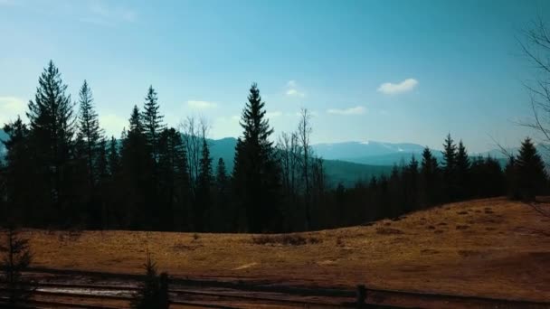Carpathian Mountains Highlands Forest Valley Aro Video — Stock Video