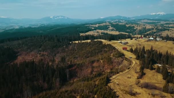 Forêt Pins Dans Les Montagnes Des Carpates Tournage Aero — Video