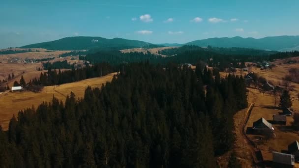 Bosque Pinos Las Montañas Los Cárpatos Disparando Aero — Vídeo de stock