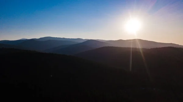 Карпатские Горы Пейзаж Сосновый Лес Иглы Аэрофотосъемка — стоковое фото