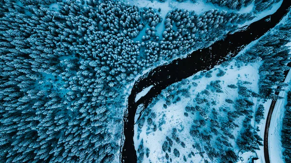 Inverno Neve Floresta Conífera Cárpatos Ucrânia Fotografias Aéreas — Fotografia de Stock