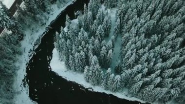 Kış kozalaklı orman Karpatlar Ukrayna hava fotoğrafçılığı.