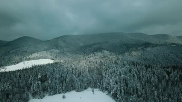 Winter Sneeuw Naaldbos Karpaten Oekraïne Luchtfotografie — Stockvideo