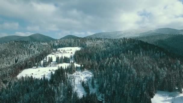 Vinter Snöbarrskog Karpaterna Ukraina Flygfoto — Stockvideo