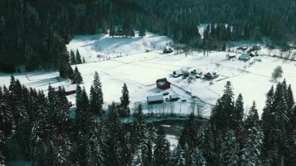 Winter Sneeuw Naaldbos Karpaten Oekraïne Luchtfotografie — Stockvideo