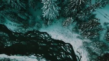 Kış kozalaklı orman Karpatlar Ukrayna hava fotoğrafçılığı.