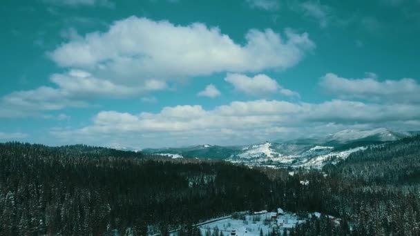 Winter Sneeuw Naaldbos Karpaten Oekraïne Luchtfotografie — Stockvideo