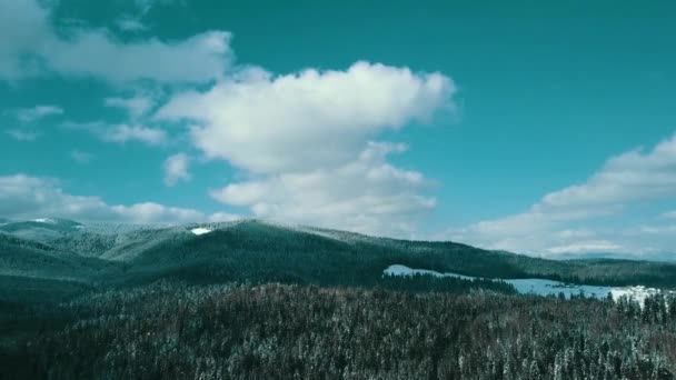 Winter Schnee Nadelwald Karpaten Ukraine Luftaufnahmen — Stockvideo
