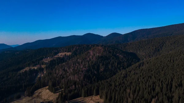 Karpatské Hory Krajina Borovice Les Jehličí Letecké Fotografie — Stock fotografie