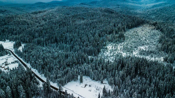 Зимові Снігові Хвойні Ліси Карпати Україна Аерофотозйомки — стокове фото