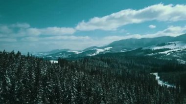 Dağlar karlı Karpatlar kozalaklı orman kayak merkezleri güzel hava görüntüsü 4K