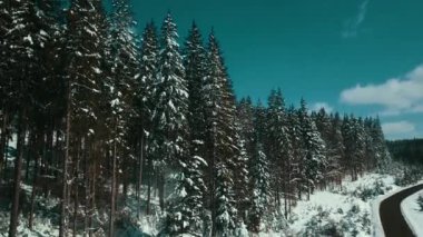 Dağlar karlı Karpatlar kozalaklı orman kayak merkezleri güzel hava görüntüsü 4K
