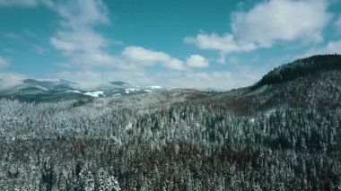 Dağlar karlı Karpatlar kozalaklı orman kayak merkezleri güzel hava görüntüsü 4K