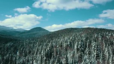 Dağlar karlı Karpatlar kozalaklı orman kayak merkezleri güzel hava görüntüsü 4K