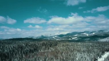 Dağlar karlı Karpatlar kozalaklı orman kayak merkezleri güzel hava görüntüsü 4K