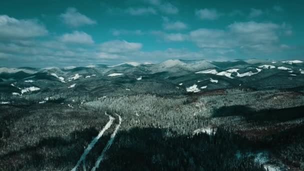 高山雪地喀尔巴阡山脉针叶林滑雪胜地美丽的风景空中视频4K — 图库视频影像