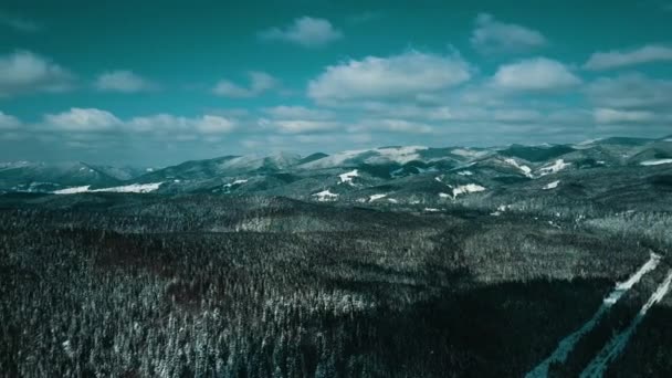 Dağlar Karlı Karpatlar Kozalaklı Orman Kayak Merkezleri Güzel Hava Görüntüsü — Stok video