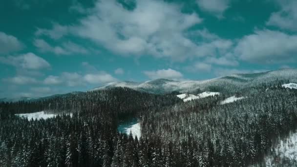Montanhas Neve Nevado Cárpatos Coníferas Floresta Ski Resort Bela Paisagem — Vídeo de Stock