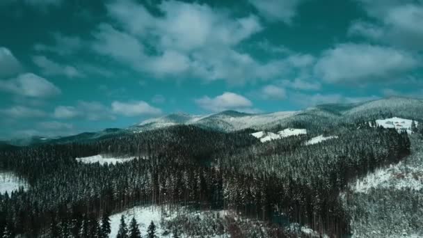 Góry Śnieg Karpaty Iglaste Las Ośrodek Narciarski Piękny Krajobraz Powietrzny — Wideo stockowe