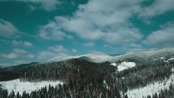山雪のカルパティア針葉樹林スキーリゾート美しい風景空撮ビデオ — ストック動画