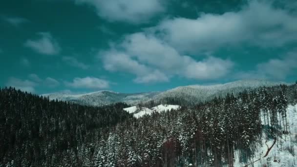 高山雪地喀尔巴阡山脉针叶林滑雪胜地美丽的风景空中视频4K — 图库视频影像