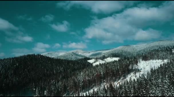 Berge Schnee Schneebedeckt Karpaten Nadelwald Skigebiet Schöne Landschaft Luftbild — Stockvideo