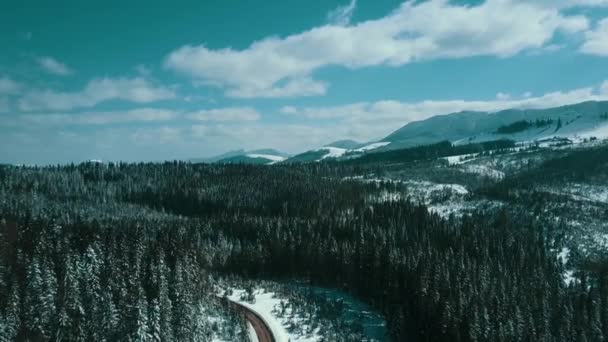 Berge Schnee Schneebedeckt Karpaten Nadelwald Skigebiet Schöne Landschaft Luftbild — Stockvideo