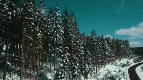 山雪のカルパティア針葉樹林スキーリゾート美しい風景空撮ビデオ — ストック動画