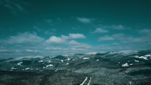 Dağlar Karlı Karpatlar Kozalaklı Orman Kayak Merkezleri Güzel Hava Görüntüsü — Stok video