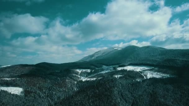 Montañas Nevado Cárpatos Coníferas Bosque Estación Esquí Hermoso Paisaje Aéreo — Vídeos de Stock