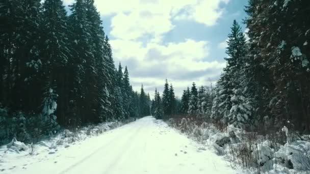 Berg Snö Snöiga Karpaterna Barrskog Skidort Vackert Landskap Antenn Video — Stockvideo