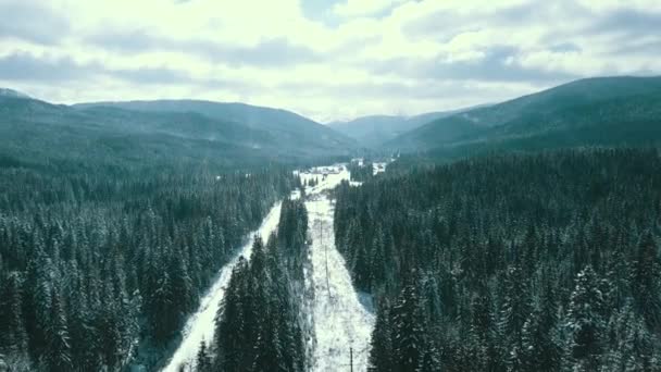 Bergen Sneeuw Sneeuw Karpaten Naaldbos Skigebied Prachtig Landschap Luchtfoto Video — Stockvideo