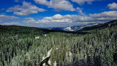 Karpatya dağları kış hava fotoğrafçılığı.