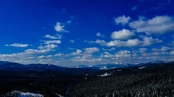 Karpatiska Berg Bergskedjan Tallskogar Barrträd Bergstoppar Vinter Snö Antenn Fotografi — Stockfoto